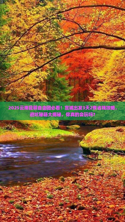 宣城去云南昆明自由团
