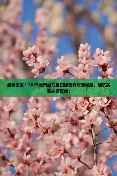 盘锦去云南丽江自由团