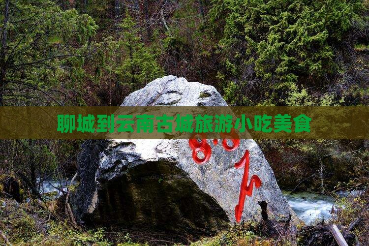 聊城到云南古城旅游小吃