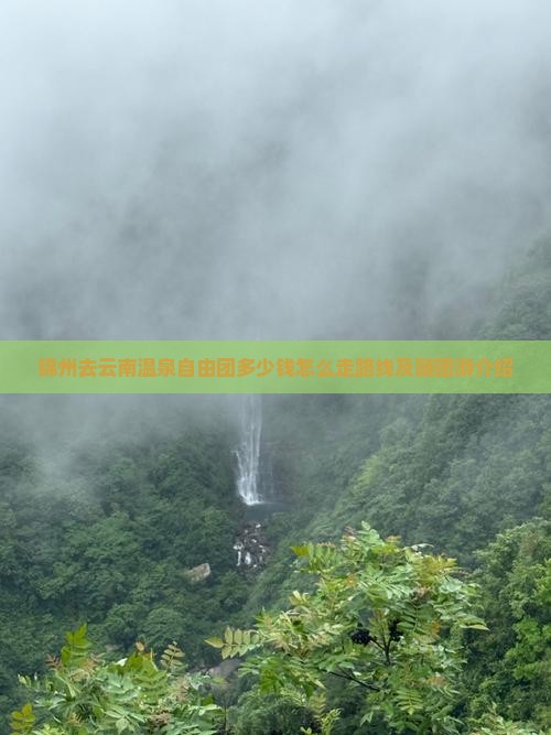 锦州去云南温泉自由团