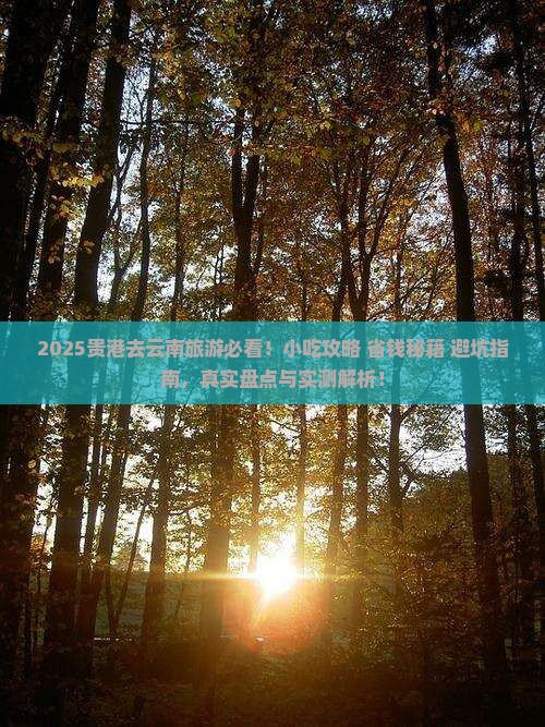贵港去云南旅游小吃
