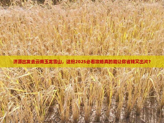 济源去云南玉龙雪山自由行
