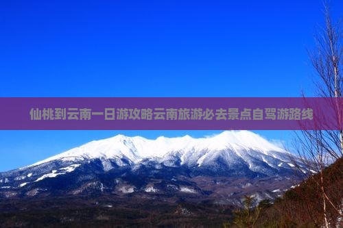 仙桃到云南一日