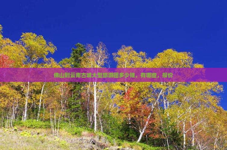 佛山到云南古城大型旅游团
