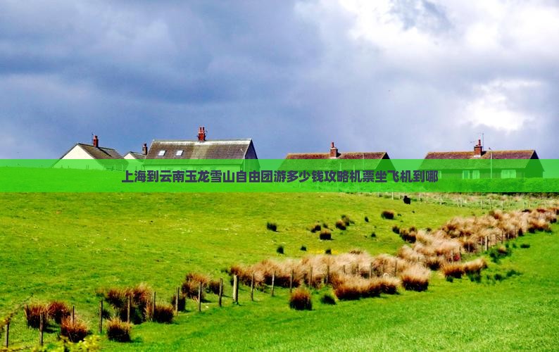 上海到云南玉龙雪山自由团
