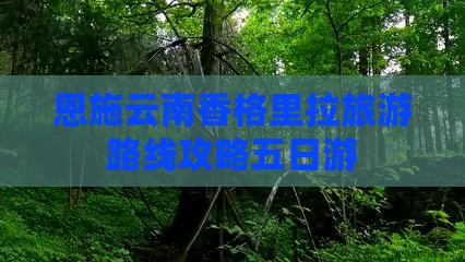 恩施去云南香格里拉五日游