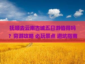 抚顺去云南古城五日游
