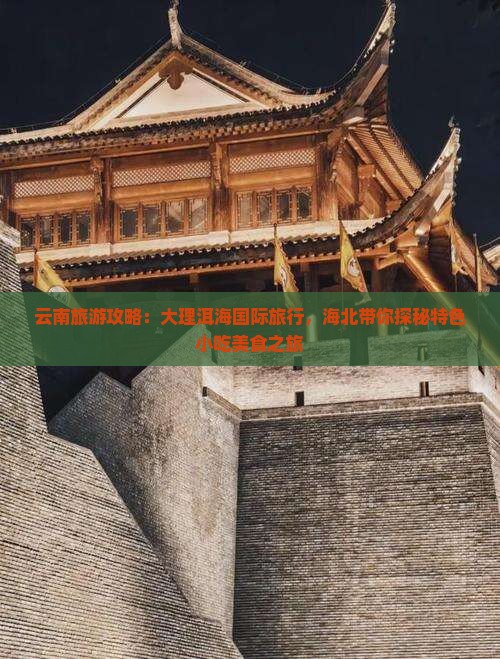 海北去云南洱海旅游小吃