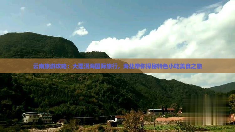 海北去云南洱海旅游小吃