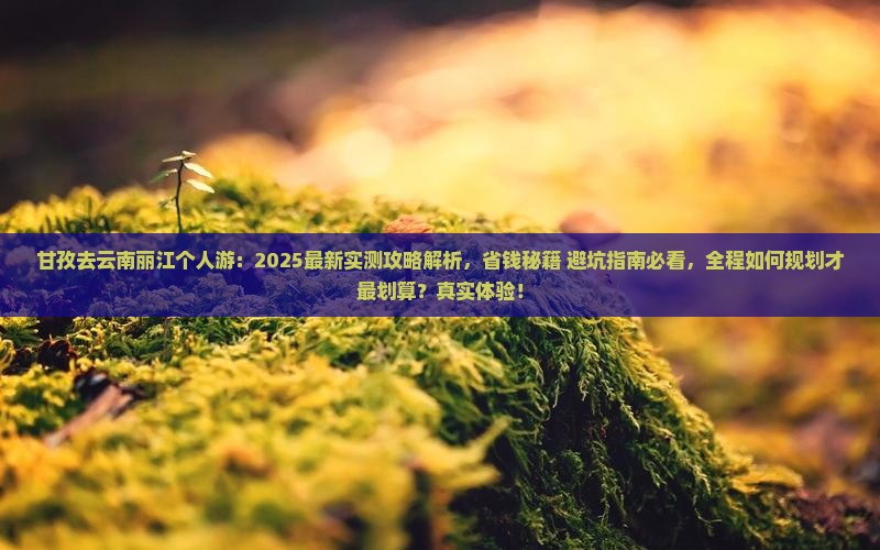 甘孜去云南丽江个人游