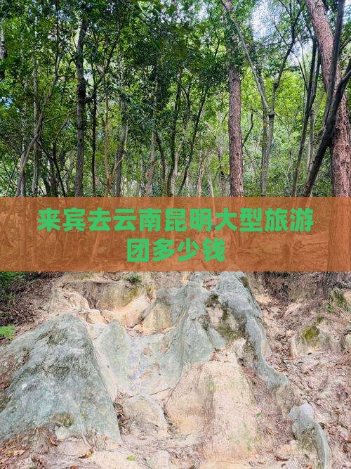 来宾去云南昆明大型旅游团