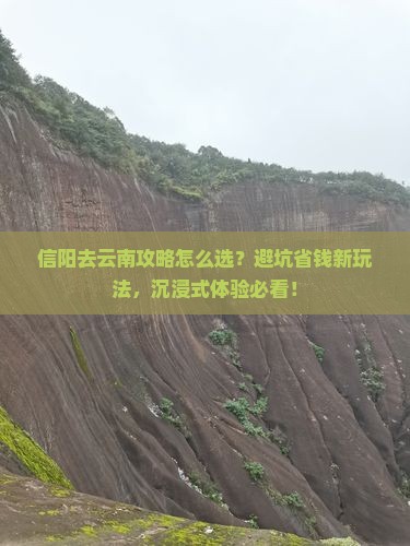 信阳去云南攻略