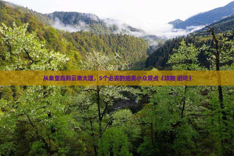秦皇岛去云南大理哪里玩