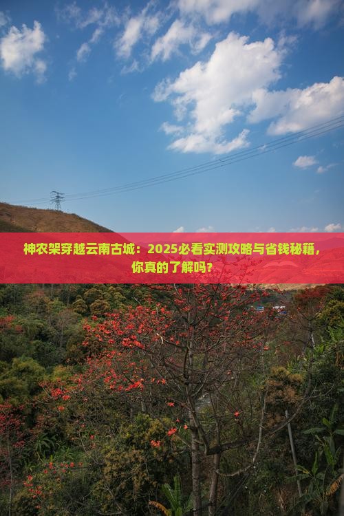 神农架去云南古城大型旅游团
