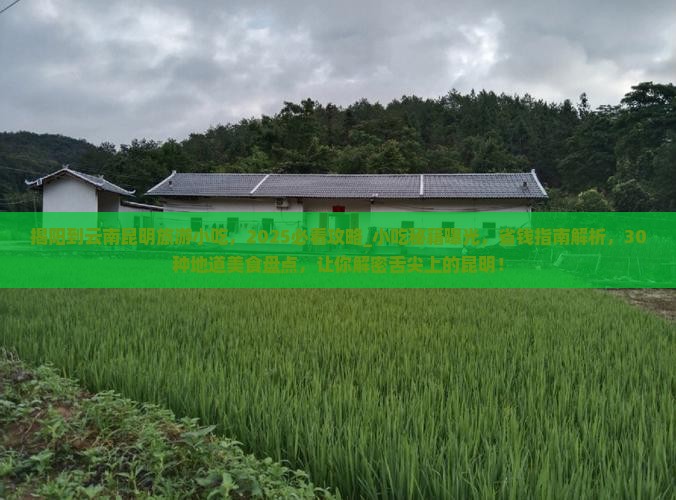 揭阳到云南昆明旅游小吃