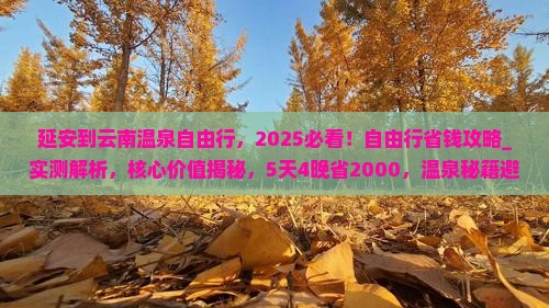 延安到云南温泉自由行