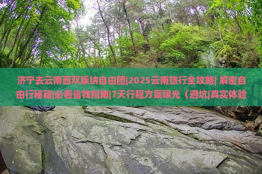济宁去云南西双版纳自由团