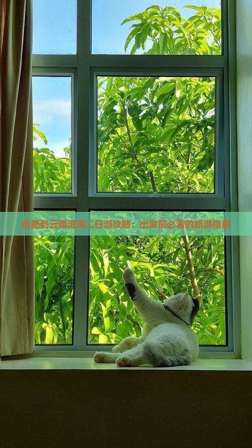 合肥到云南洱海二日游