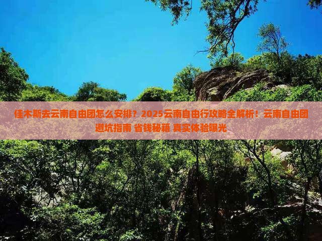 佳木斯去云南自由团