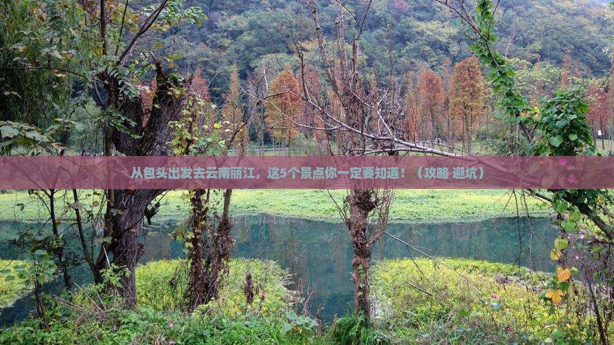 包头去云南丽江景点