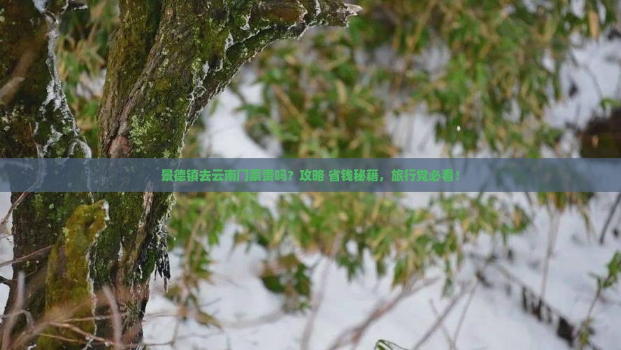 景德镇去云南门票