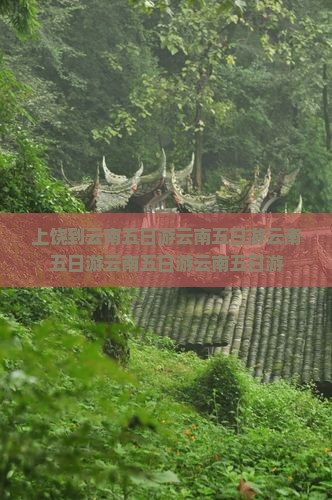 上饶到云南五日游
