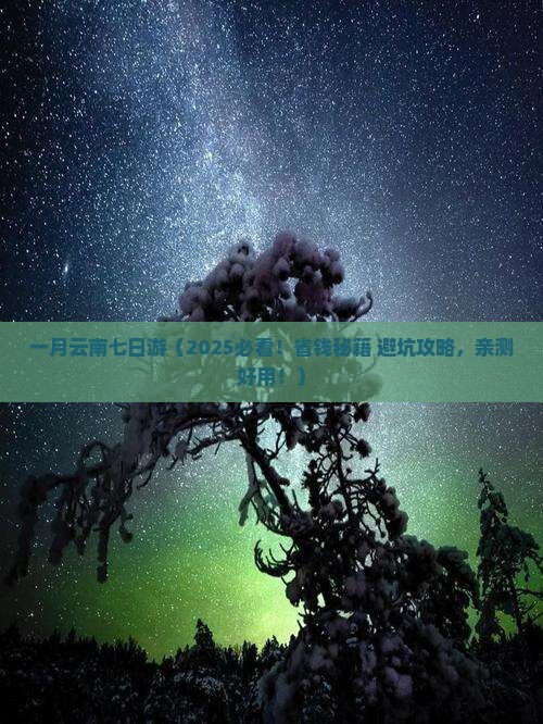 一月去云南七日游
