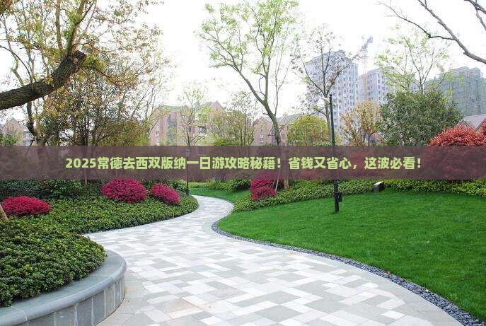 常德去云南西双版纳一日
