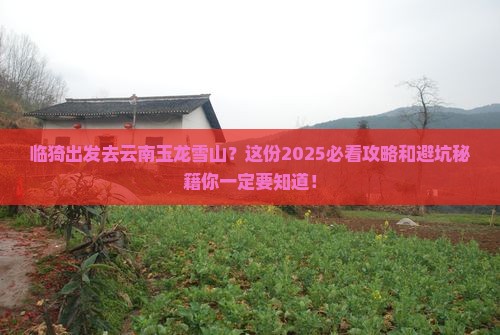 临猗到云南玉龙雪山旅行社