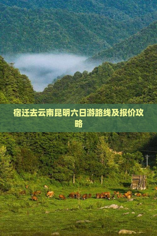 宿迁去云南昆明六日游