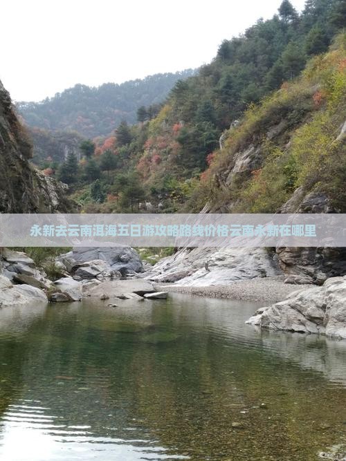 永新去云南洱海五日游