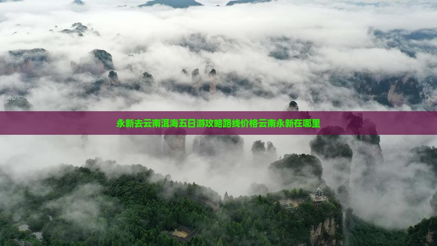 永新去云南洱海五日游
