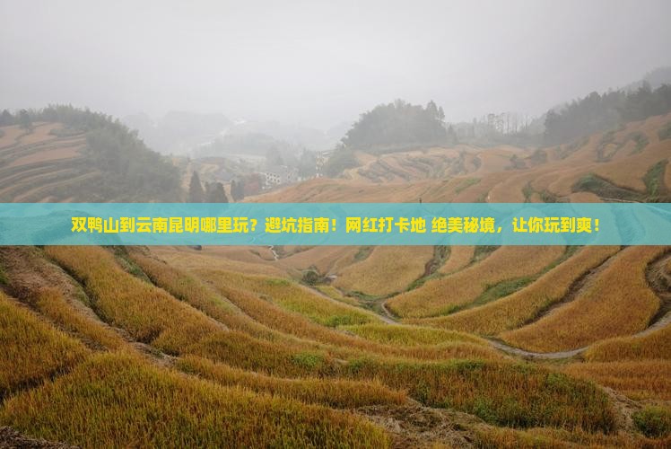 双鸭山到云南昆明哪里玩