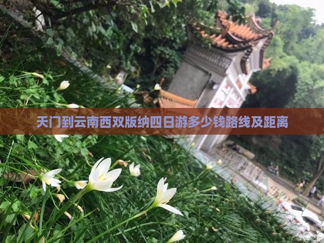 天门到云南西双版纳四日游