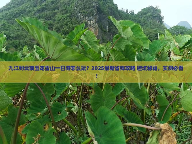 九江到云南玉龙雪山一日