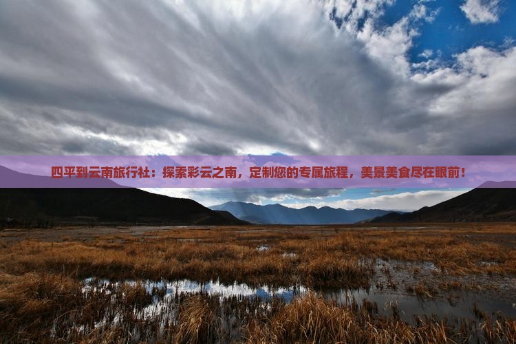 四平到云南旅行社