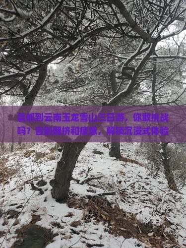 昌都到云南玉龙雪山三日游