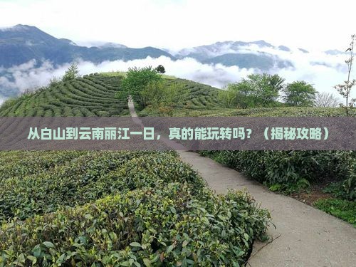 白山到云南丽江一日