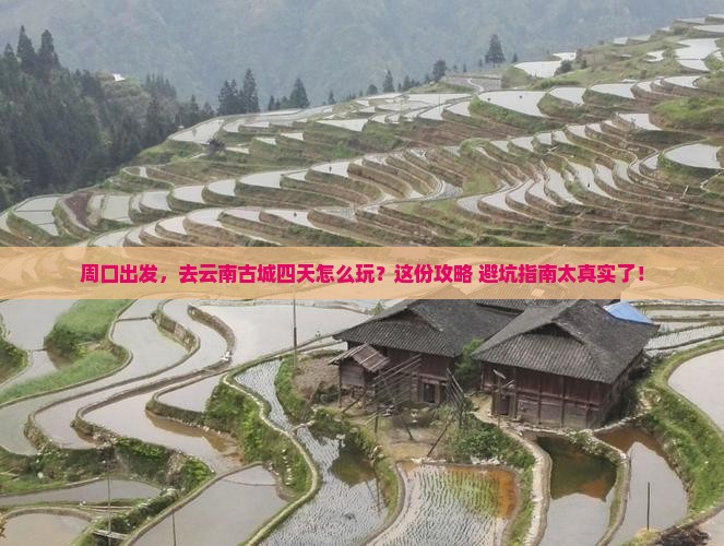 周口到云南古城四日游