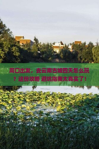 周口到云南古城四日游