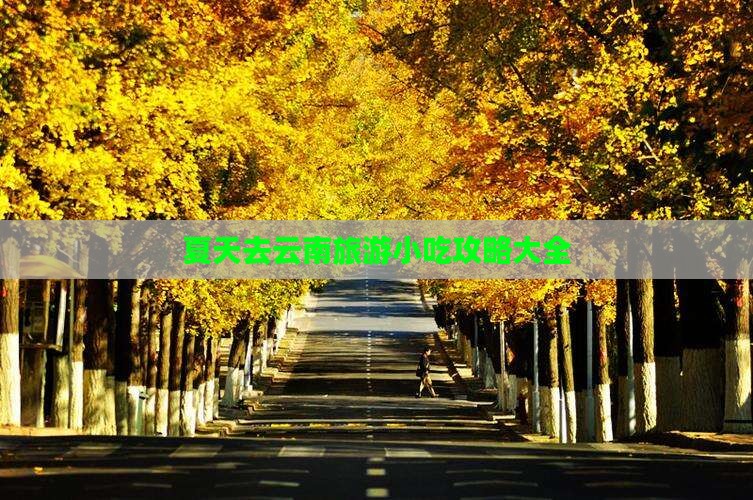 夏天去云南旅游小吃