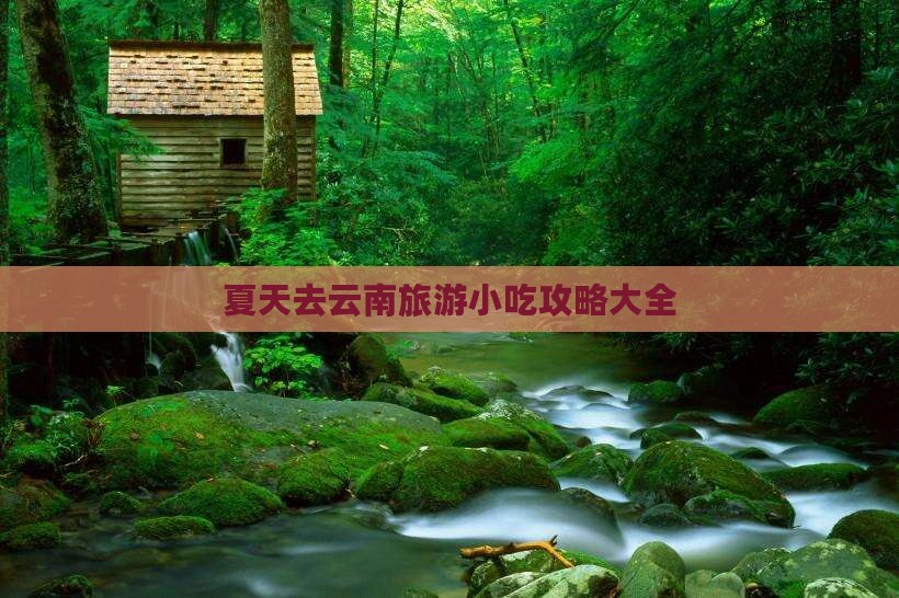 夏天去云南旅游小吃