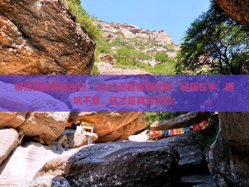 柳州到云南昆明自由团