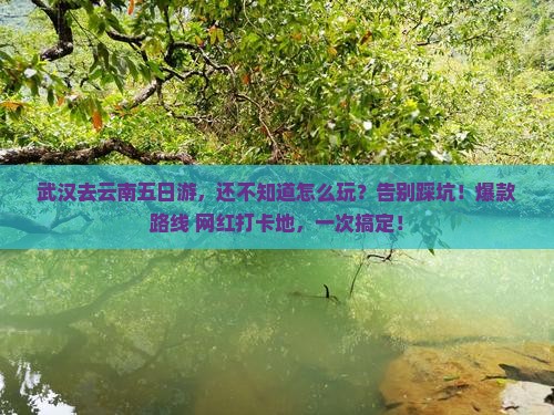 武汉去云南五日游