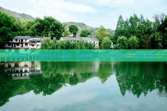 朝阳去云南洱海五日游