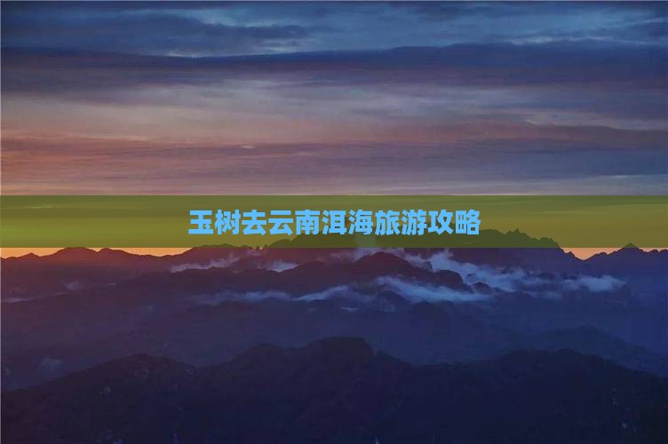 玉树去云南洱海旅游