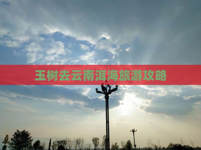 玉树去云南洱海旅游