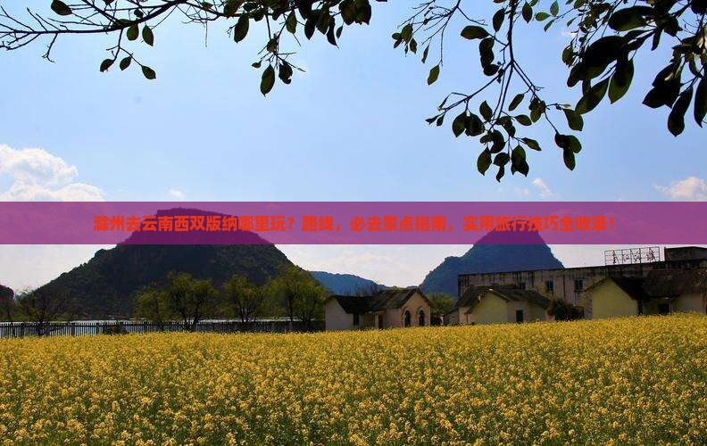 滁州去云南西双版纳哪里玩