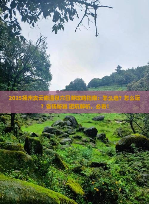 扬州去云南温泉六日游
