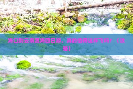 海口到云南洱海四日游